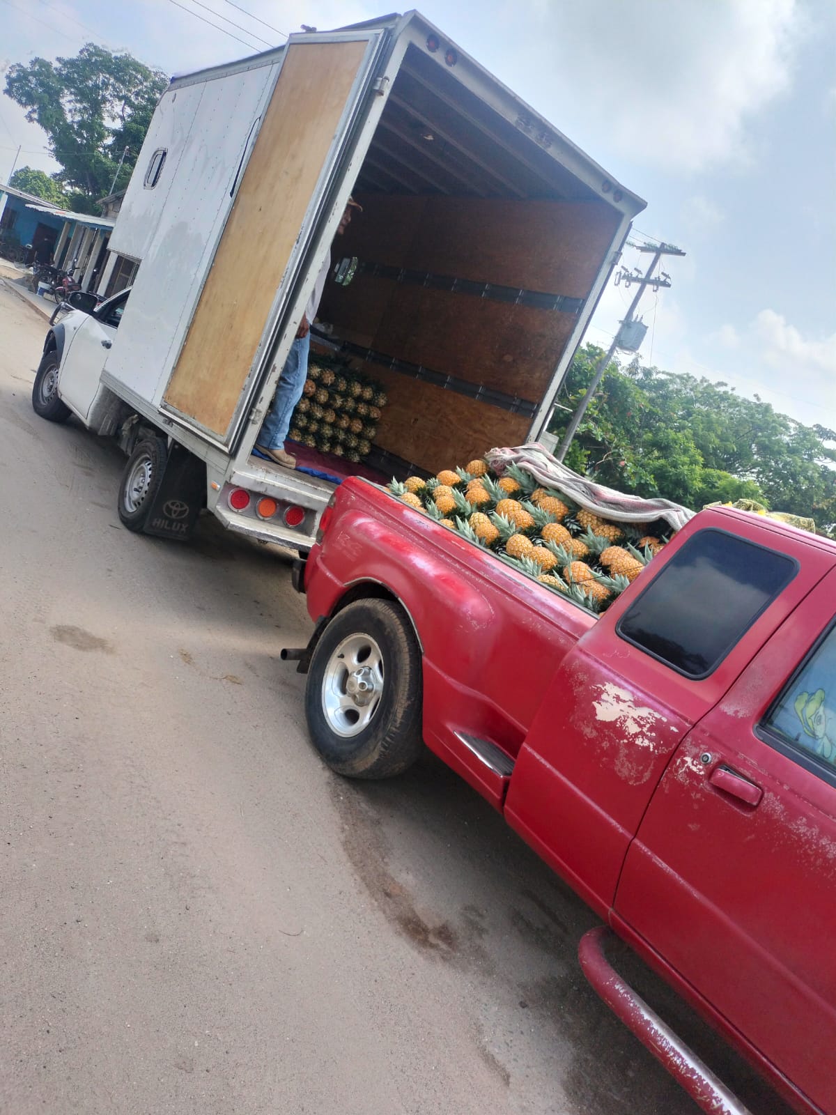 Traslado y montaje de stands